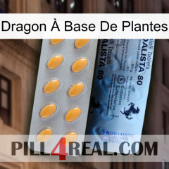 Dragon À Base De Plantes 44